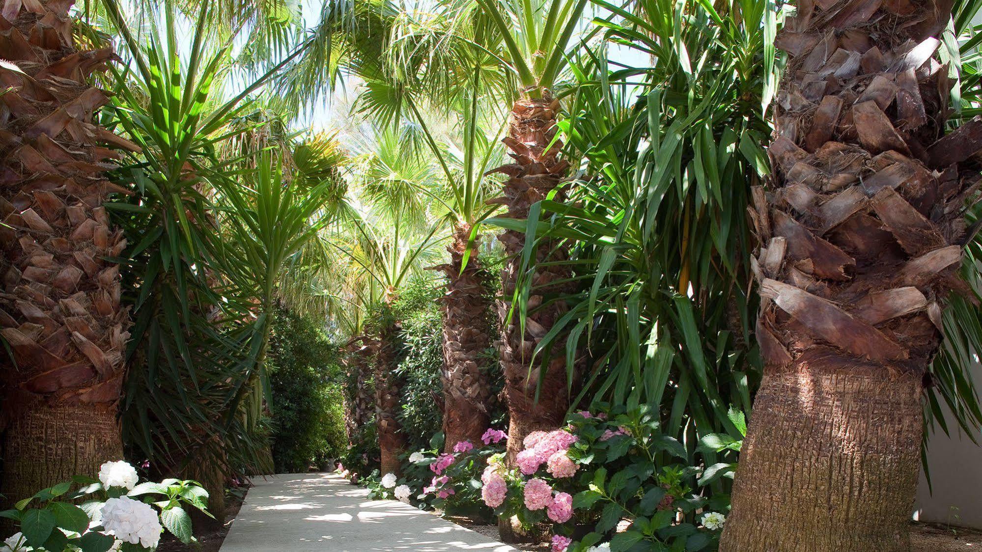 Mangio Fango Hotel Et Spa Saintes-Maries-de-la-Mer Exterior photo